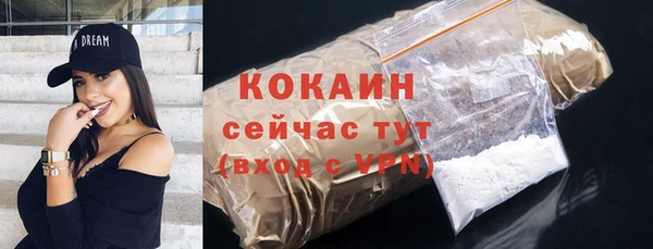 шишки Арсеньев