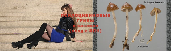 прущие крисы Армянск