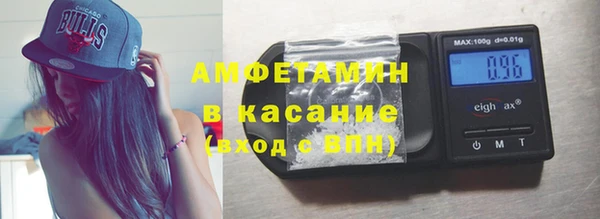 шишки Арсеньев