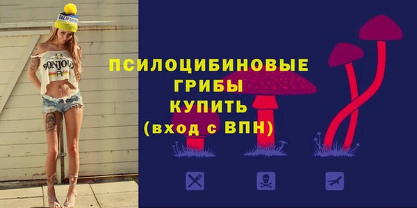 ешки Аркадак