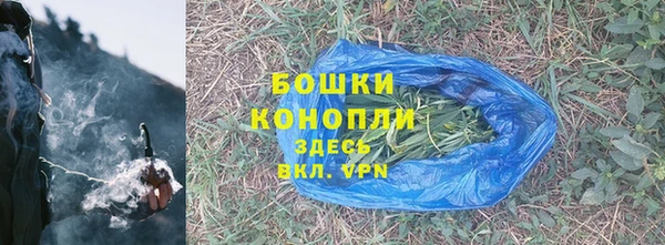 шишки Арсеньев
