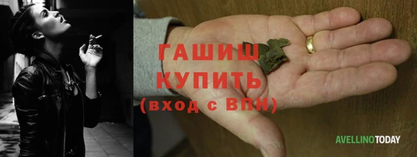 шишки Арсеньев