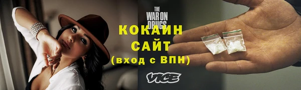 шишки Арсеньев