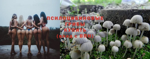 ешки Аркадак