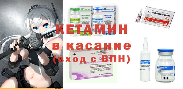 шишки Арсеньев